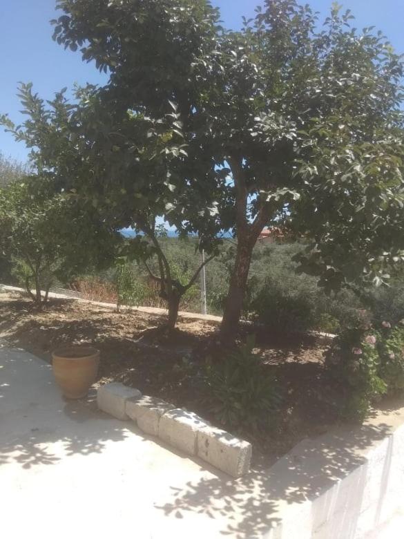 Vogklis House Otel Qeparo Dış mekan fotoğraf