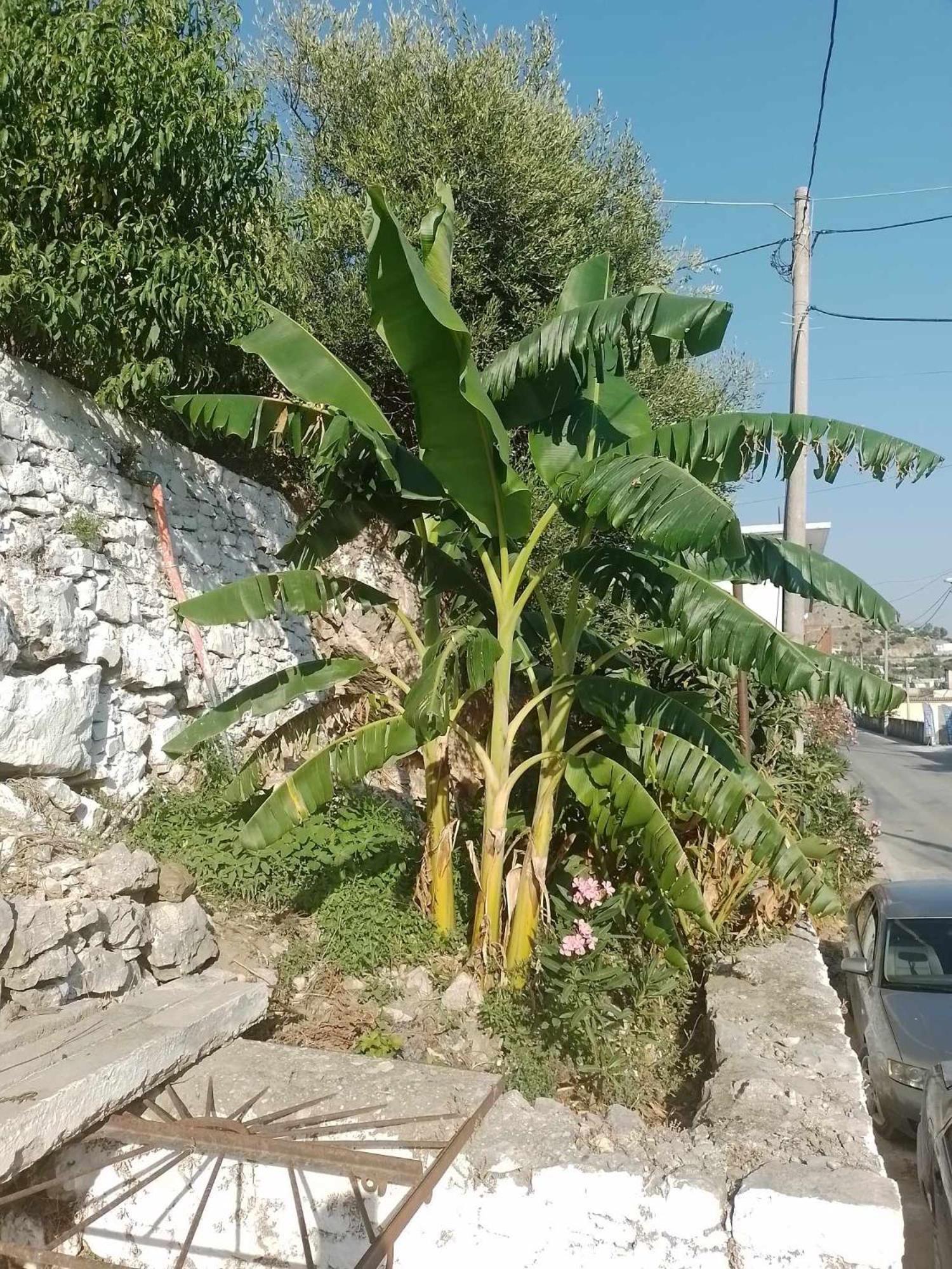 Vogklis House Otel Qeparo Dış mekan fotoğraf