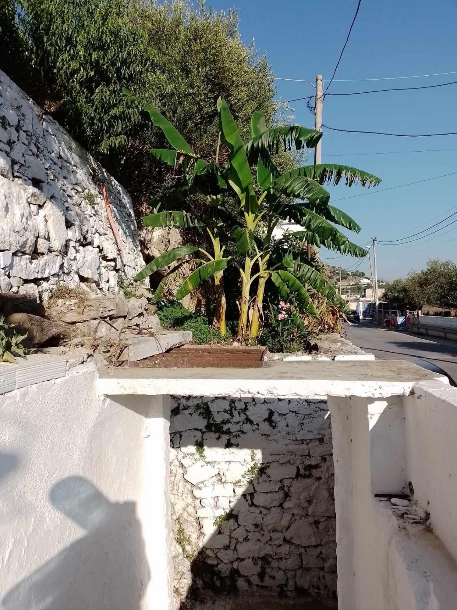 Vogklis House Otel Qeparo Dış mekan fotoğraf